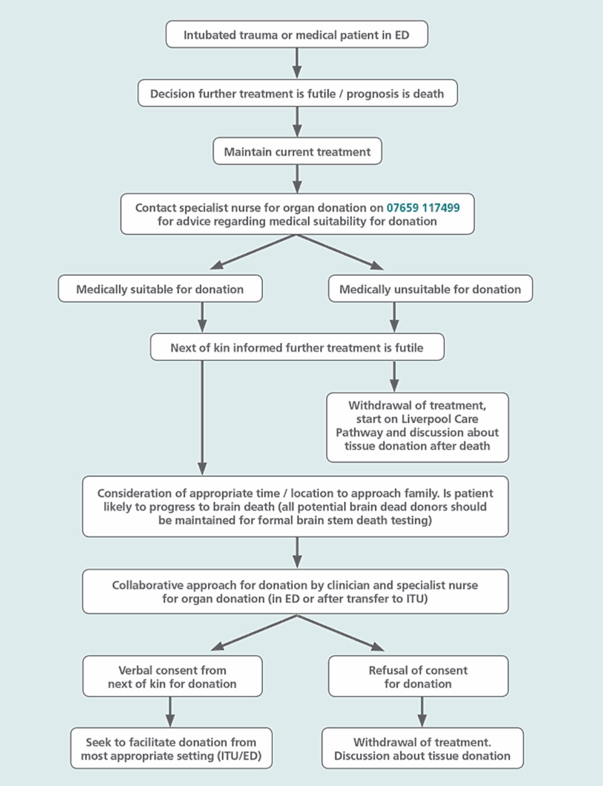 flow diagram of steps to identify eligibility and consent for organ donation